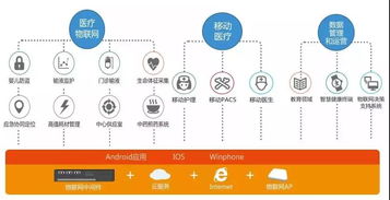 雙翼齊飛 銀江攜手華為、阿里，共筑物聯網產業生態新藍圖